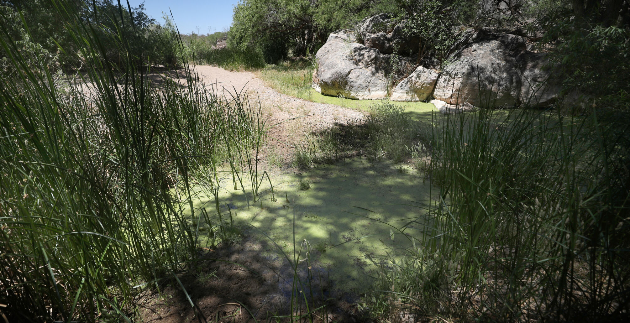 Cienega Creek, recharge